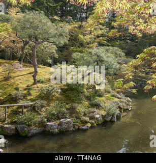 Jardin japonais avec un étang et d'érable rétroéclairé et de pins. Banque D'Images