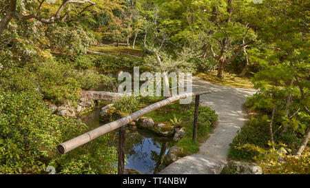 Jardin japonais avec un pont de pierre à travers une rivière. Un chemin mène dans les buissons. Banque D'Images