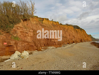 La plage de galets à Sidmouth dans le Devon avec les falaises de grès rouge de la côte jurassique en arrière-plan. Banque D'Images