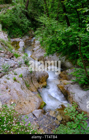 Cascade de la Valle delle Ferriere également connu sous le Vallon des Moulins sentier de marche dans les collines au-dessus d'Amalfi, Italie Campanie Banque D'Images