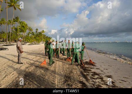 Le nettoyage de la plage d'algues sur la plage de Bavaro Punta Cana, République Dominicaine Banque D'Images