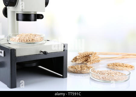 Les tests microbiologiques pour la qualité des aliments au laboratoire de biochimie Banque D'Images