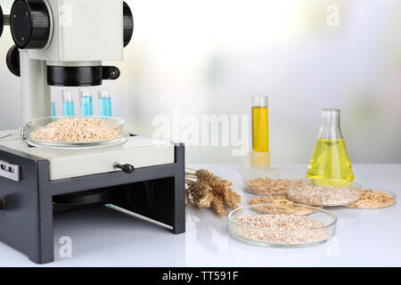 Les tests microbiologiques pour la qualité des aliments au laboratoire de biochimie Banque D'Images