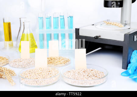 Les tests microbiologiques pour la qualité des aliments au laboratoire de biochimie Banque D'Images