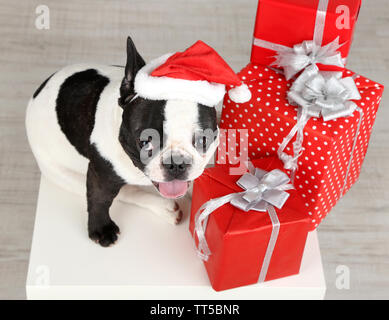 Bouledogue français with Santa hat et présente sur le canapé dans la chambre Banque D'Images