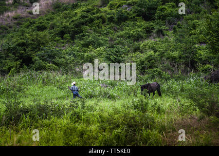 L'ranch balade à cheval en campagne guatémaltèque Banque D'Images