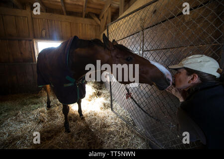 États-unis - 11 Avril 2016 : Eva Smithwick obtient un baiser de son cheval 'Rutledge'. Smithwick est le propriétaire de Sunny Bank Farm La ferme équestre près de Mid Banque D'Images