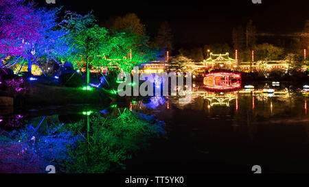 WUHAN HUBEI/-CHINE - 01 AVRIL 2019 -- Le paysage de nuit à Wuhan East Lake Sakura Garden. Ce temps est le sakura blossom saison. Pour un voyage autour de W Banque D'Images