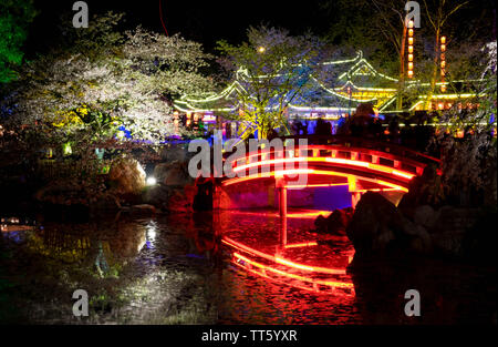 WUHAN HUBEI/-CHINE - 01 AVRIL 2019 -- Le paysage de nuit à Wuhan East Lake Sakura Garden. Ce temps est le sakura blossom saison. Pour un voyage autour de W Banque D'Images