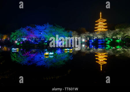 WUHAN HUBEI/-CHINE - 01 AVRIL 2019 -- Le paysage de nuit à Wuhan East Lake Sakura Garden. Ce temps est le sakura blossom saison. Pour un voyage autour de W Banque D'Images