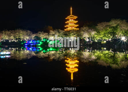 WUHAN HUBEI/-CHINE - 01 AVRIL 2019 -- Le paysage de nuit à Wuhan East Lake Sakura Garden. Ce temps est le sakura blossom saison. Pour un voyage autour de W Banque D'Images