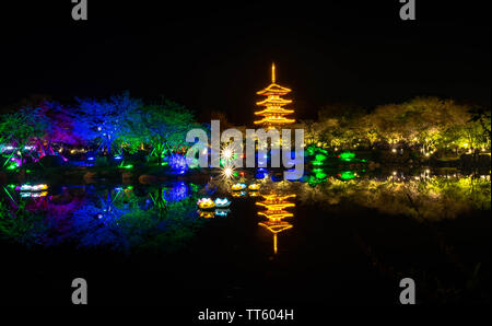 WUHAN HUBEI/-CHINE - 01 AVRIL 2019 -- Le paysage de nuit à Wuhan East Lake Sakura Garden. Ce temps est le sakura blossom saison. Pour un voyage autour de W Banque D'Images