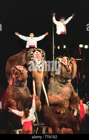 Deux jeunes garçons d'une famille de cirque saluer l'auditoire de la cime des deux éléphants d'Asie lors de l'exécution au Festival International du Cirque de Monte Carlo qui a lieu chaque année dans la Principauté de Monaco sur la côte d'Azur en Europe. Le célèbre festival a été créé en 1974 par le Prince Rainier III qui avait une passion pour le cirque et voulait mettre en valeur et d'honorer ses meilleurs interprètes de partout dans le monde. L'événement se poursuit encore aujourd'hui et chaque janvier présente 25 de la top de cirque dans l'entreprise. Banque D'Images