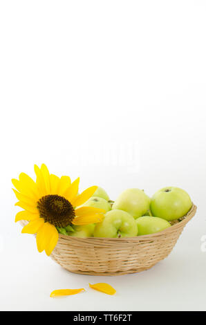 Fleur d'un tournesol et pommes vertes dans Panier sur fond blanc Banque D'Images