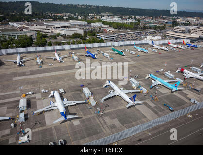 Juin 2019 : Boeing 737 MAX à la terre aux aéronefs Boeing Field usine près de Seattle, Washington, USA, au cours de la crise provoquée par les logiciels dangereux Banque D'Images