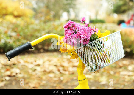 Beau Vélo jaune en automne parc avec bouquet de chrysanthèmes dans panier Banque D'Images