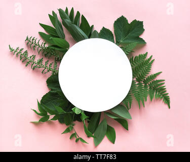 Mise en page créative de feuilles vertes, plantes sauvages exotiques sur rose et blanc tube rond cadre, l'espace de copie. L'été, le printemps ou l'écologie concept. Banque D'Images