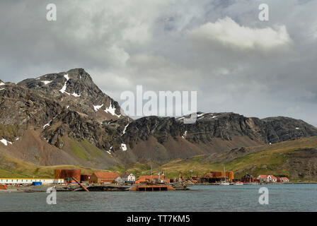 Vestiges de l'ancienne gare whaleing à Grytviken, Géorgie du Sud, Antarctique Banque D'Images