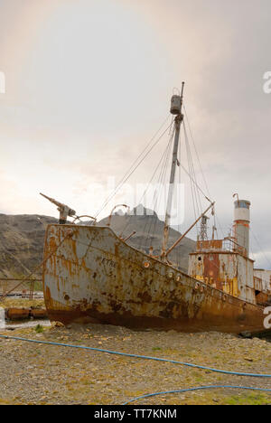 Vestiges de l'ancienne gare whaleing à Grytviken, Géorgie du Sud, Antarctique Banque D'Images