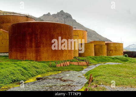 Vestiges de l'ancienne gare whaleing à Grytviken, Géorgie du Sud, Antarctique Banque D'Images