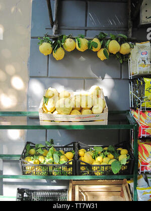 Encore UNE VIE DE CITRONS VENDU DANS UN MAGASIN À AMALFI, côte amalfitaine, en Italie. Banque D'Images