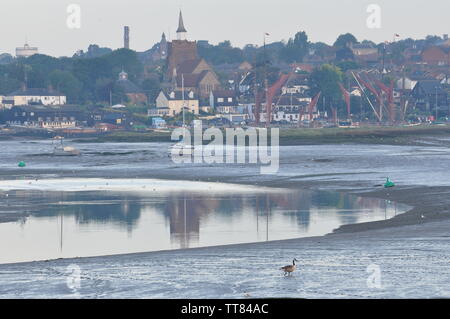 Essex, Angleterre Royaume-uni Maldon Banque D'Images