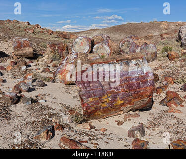 Bois tourné à pierre dans le Painted Desert. Banque D'Images