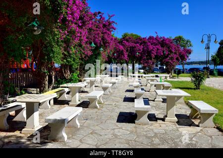 Des tables et bancs dans un parc dans la ville de Corfou, îles Ioniennes, Corfou, Grèce, îles Grecques Banque D'Images