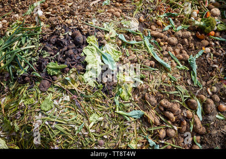 Compost en milieu rural avec des morceaux de légumes et de fruits. Banque D'Images