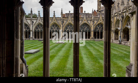 Le cloître, la Cathédrale de Canterbury, Canterbury, Kent, Angleterre Banque D'Images