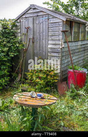 Ancien abri de jardin dans un jardin abandonné, petite table et de vieux outils de jardinage, de Kilwinning, Ayrshire, Scotland Banque D'Images