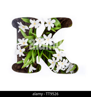 La lettre K de l'alphabet anglais de petites fleurs chionodoxa blanc Banque D'Images