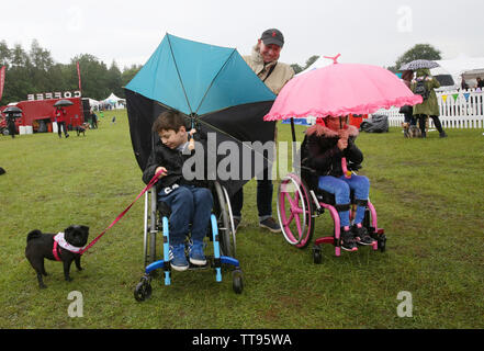 Knutsford, Royaume-Uni, 15 juin, 2019. Chien Fest, le festival pour les chiens, leurs familles et amis des animaux. Le festival a lieu dans le parc de Tatton Park, une demeure seigneuriale du Cheshire. L'événement inclut un bon nombre de chien affiche avec beaucoup de chiens de compagnie à essayer. Tatton Park, Knutsford, Cheshire. Crédit : Barbara Cook/Alamy Live News Banque D'Images