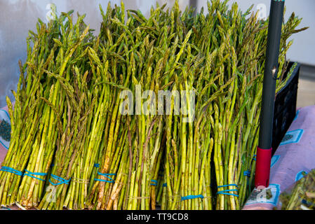 Bouquets d'asperges sauvages sur l'échoppe de marché à Cadix, Andalousie, espagne Banque D'Images