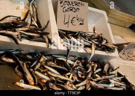 Anchois frais sur le marché de poisson de Cadix, Andalousie, espagne Banque D'Images