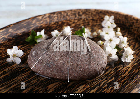 Les aiguilles d'Acupuncture sur plaque de bois avec galets et rameau en fleurs, gros plan Banque D'Images