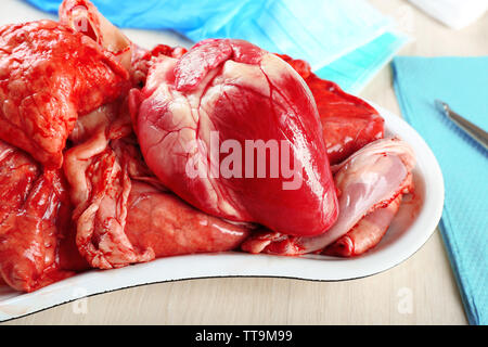 Organe cardiaque dans le plateau métallique médical avec des outils sur la table, gros plan Banque D'Images