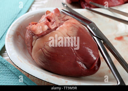 Organe cardiaque dans le plateau métallique médical avec des outils sur la table, gros plan Banque D'Images