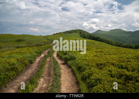 Bieszczady en Pologne Banque D'Images