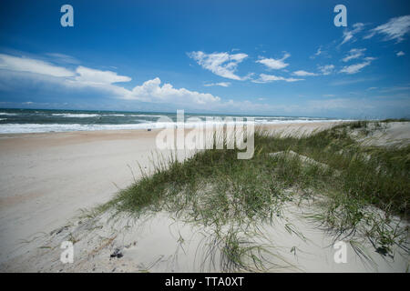 États-unis : Juin 24, 2015 ; plages du nord d'Ocracoke Island, Caroline du Nord. (Photo par Douglas Graham/WLP) Banque D'Images