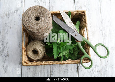 Feuilles de mélisse avec corde et ciseaux dans panier en osier sur fond de bois Banque D'Images