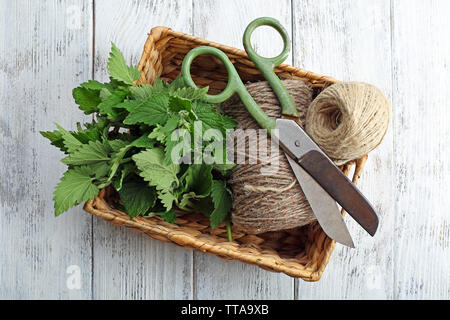 Feuilles de mélisse avec corde et ciseaux dans panier en osier sur fond de bois Banque D'Images