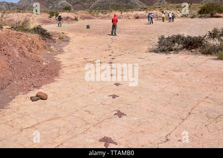 Empreintes de dinosaures dans le Parc National de Torotoro, Torotoro, Bolivie Banque D'Images