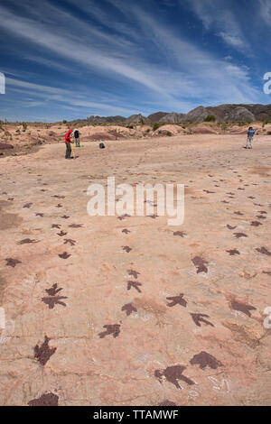 Empreintes de dinosaures dans le Parc National de Torotoro, Torotoro, Bolivie Banque D'Images