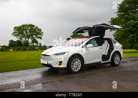 TESLA modèle X à carreaux multisegments électriques EVs super voitures avec portes de l'aile Falcon, futurs classiques modernes au festival d'été de Leyland. Leyland, Lancashire. Banque D'Images