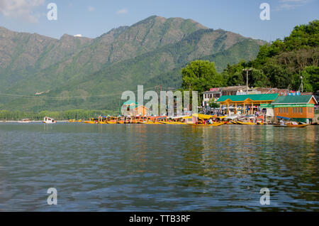 Avis de shikaras (bateaux en bois) stationné sur la rive du lac Dal, Srinagar, Jammu-et-Cachemire, l'Inde Banque D'Images