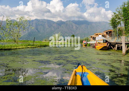 De belles vues à partir d'un trajet sur shikara Dal Lake, à Srinagar, Jammu-et-Cachemire, l'Inde Banque D'Images