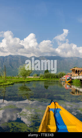 De belles vues à partir d'un trajet sur shikara Dal Lake, à Srinagar, Jammu-et-Cachemire, l'Inde Banque D'Images