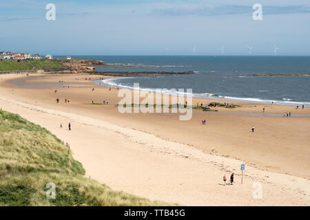Afficher le nord le long de la plage de Tynemouth Longsands en regardant vers Cullercoats, Angleterre du Nord-Est, Royaume-Uni Banque D'Images