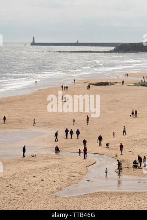 Au sud le long de la plage de Tynemouth Longsands, Angleterre du Nord-Est, Royaume-Uni Banque D'Images